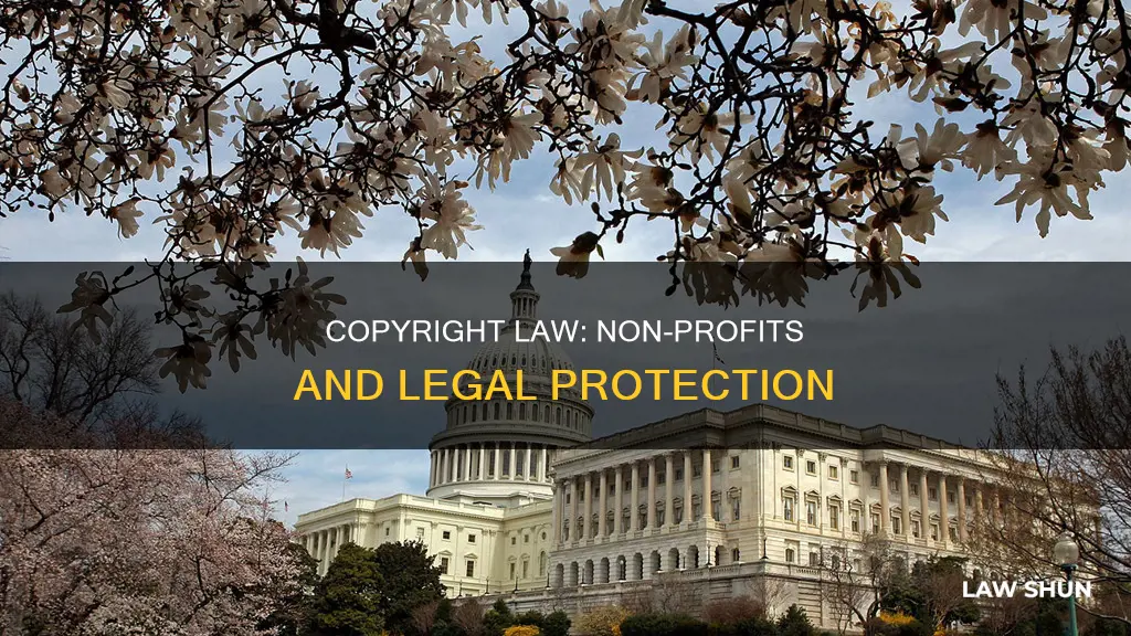 does copyright law apply if your non profit