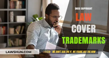 Copyright vs. Trademark: Understanding Legal Protections for Intellectual Property