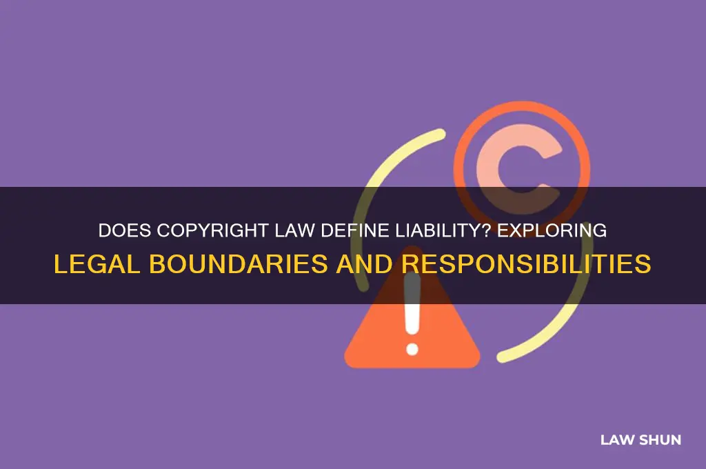 does copyright law defin the liabilty