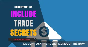 Copyright Law vs. Trade Secrets: Understanding Legal Protections for Intellectual Property