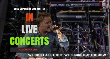 Does Copyright Law Matter in Live Concerts? Exploring Legal Boundaries
