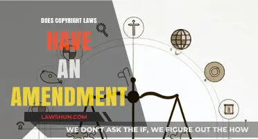Exploring Amendments to Copyright Laws: Updates and Implications