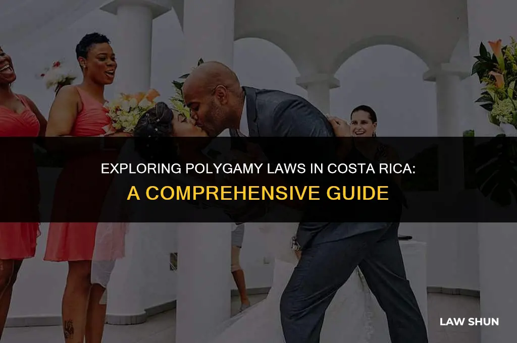 does costa rica have bigamy laws