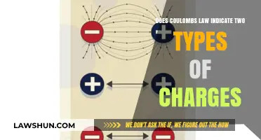 Coulomb's Law: Unveiling the Dual Nature of Electric Charges