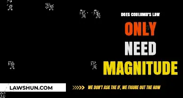 Does Coulomb's Law Rely Solely on Magnitude? A Critical Analysis