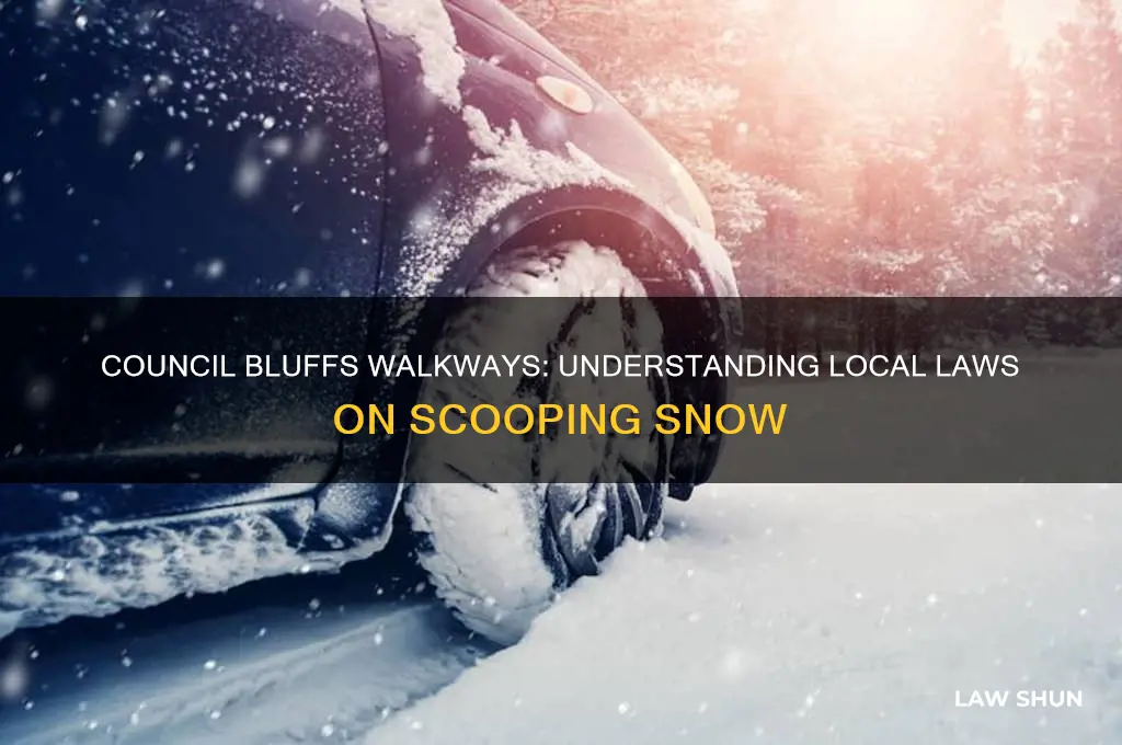 does council bluffs have a law about scooping the walks