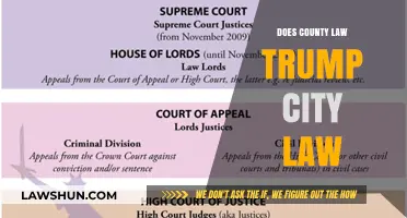 Navigating Legal Hierarchies: County vs. City Law