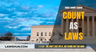 Court Cases: Are They Law?