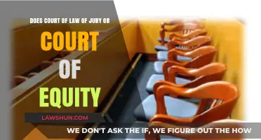 Jury vs. Equity Court: Understanding Legal and Equitable Remedies