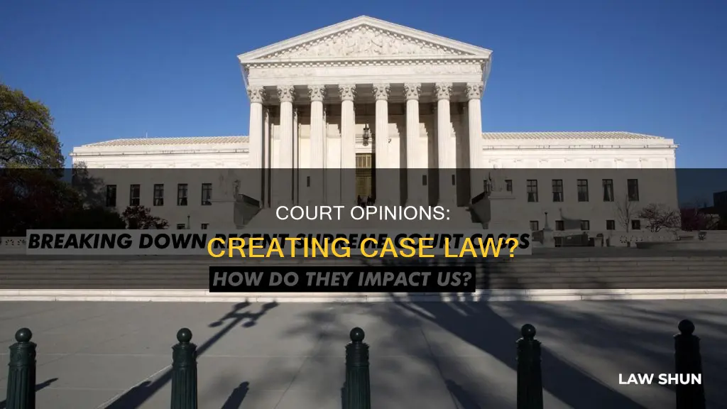 does court opinion create case law