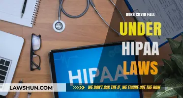 Understanding HIPAA: Does COVID-19 Data Fall Under Its Protection?