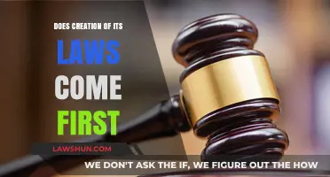 Creating Laws: What Comes First?