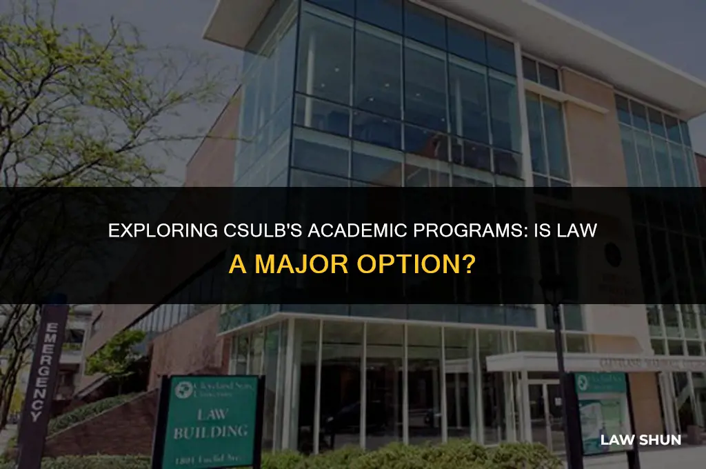 does csulb have a law major