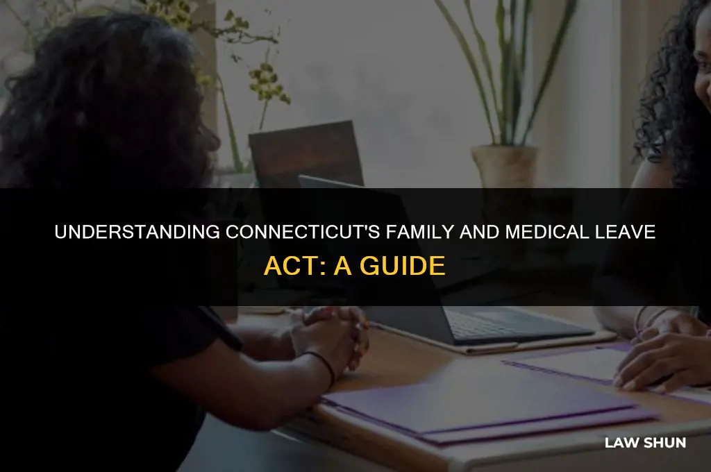 does ct have an fmla law