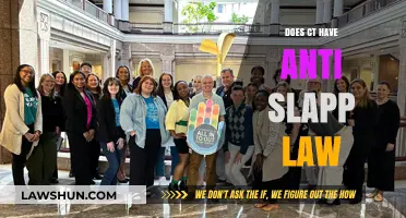 SLAPP Law in Connecticut: What's the Deal?