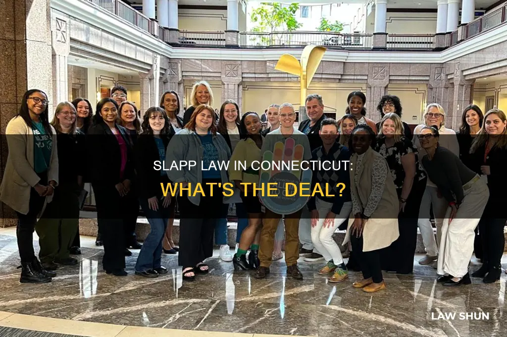 does ct have anti slapp law