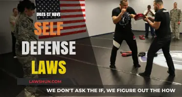 Understanding Connecticut's Self-Defense Laws: A Comprehensive Guide