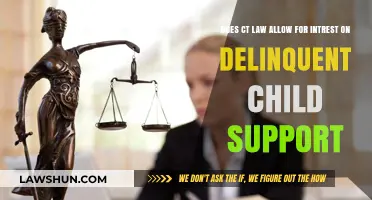 Connecticut Law: Interest on Delinquent Child Support Explained