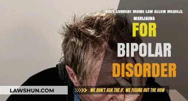 Maine Medical Marijuana Laws: Bipolar Disorder Eligibility Explained