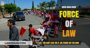 Understanding DACA: Does This Policy Have the Force of Law?