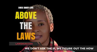 Living Above the Law: The Daisy Dilemma Unveiled