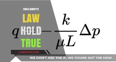 Exploring the Validity of Darcy's Law in Modern Fluid Dynamics