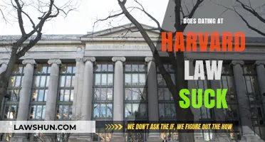 Navigating Romance at Harvard Law: Challenges and Triumphs