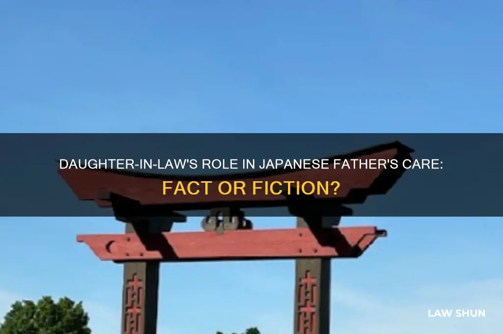 does daughter in law really wash father in japan