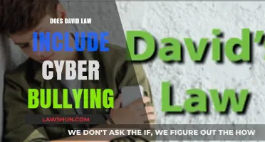 Exploring the Scope of David's Law: Does It Cover Cyberbullying?