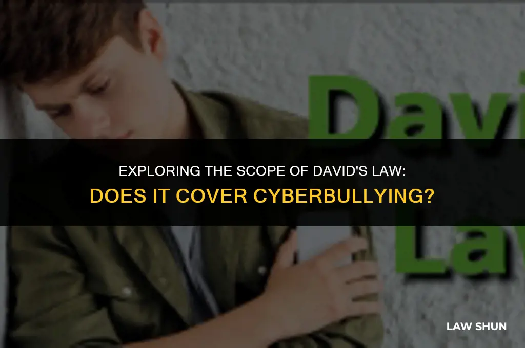 does david law include cyber bullying
