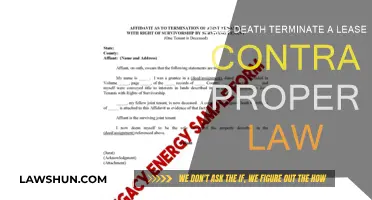 Death and Lease Contracts: What's the Legal Verdict?