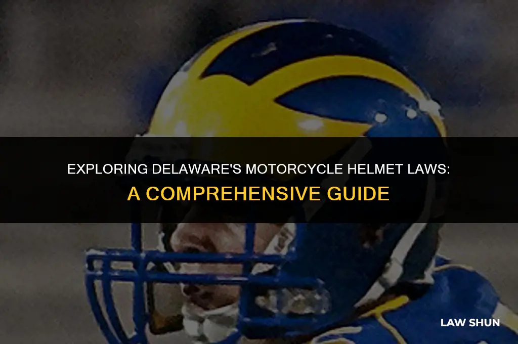 does delaware have a helmet law