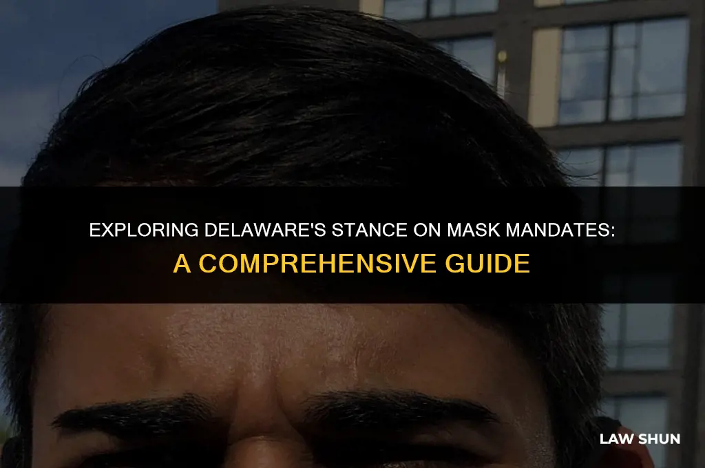 does delaware have a mask law