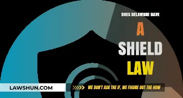 Understanding Delaware's Legal Protections: A Look at Shield Laws