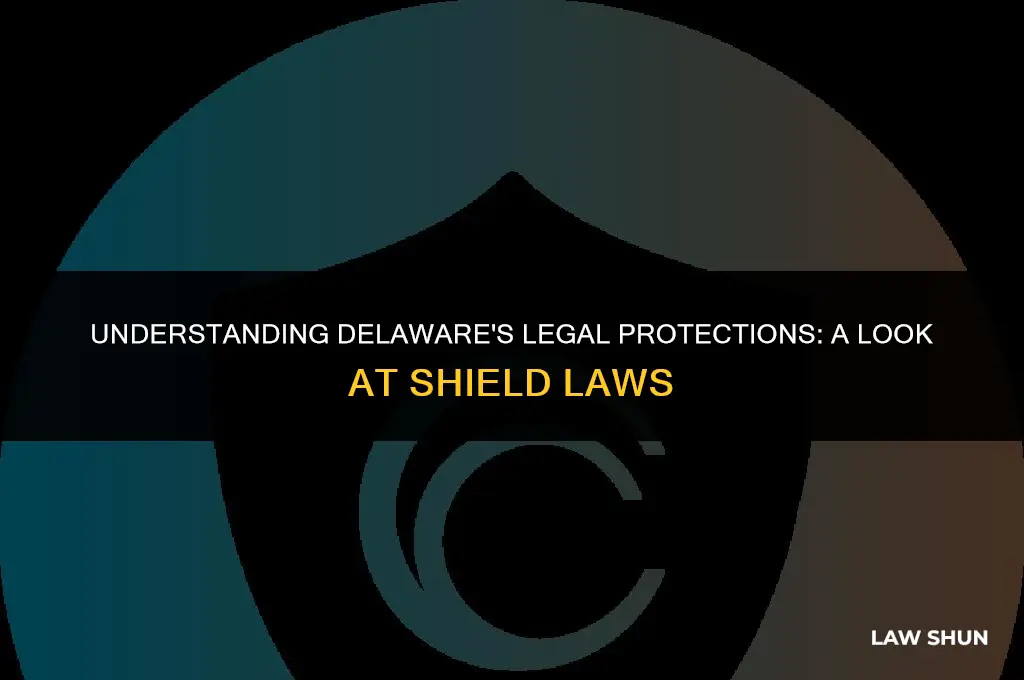 does delaware have a shield law