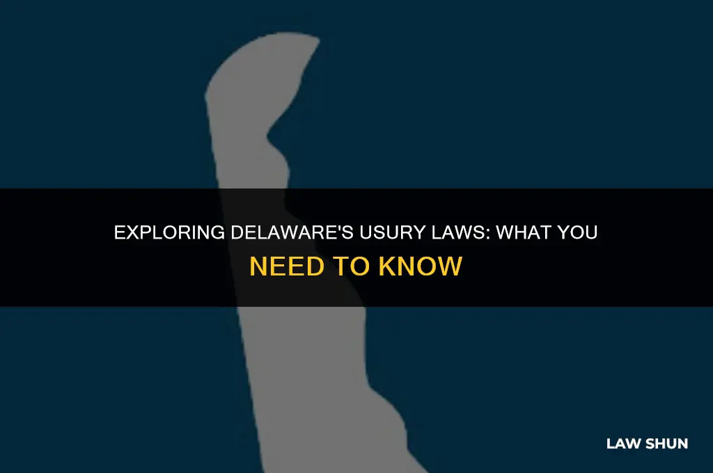 does delaware have a usury law