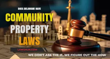 Delaware's Property Laws: Understanding Community Property vs. Equitable Distribution