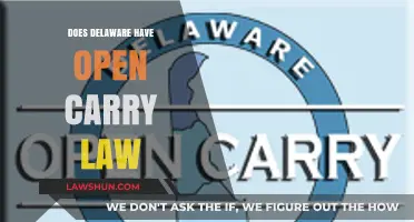 Delaware's Open Carry Laws: Understanding Your Rights and Restrictions