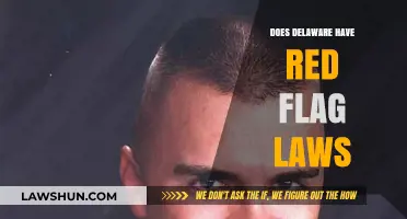 Exploring Delaware's Stance on Red Flag Legislation: A Comprehensive Overview