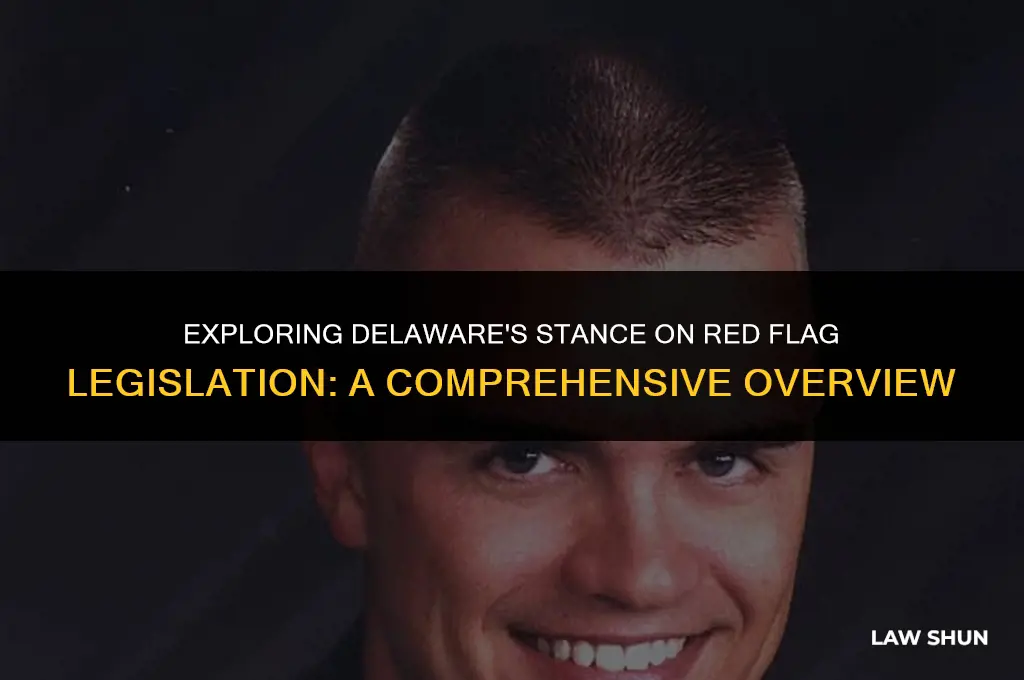 does delaware have red flag laws