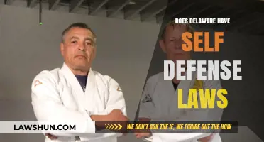 Understanding Delaware's Self-Defense Laws: A Comprehensive Guide
