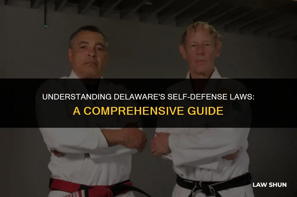 does delaware have self defense laws
