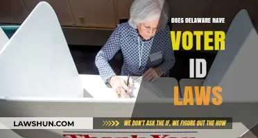 Delaware Voter ID Laws: What You Need to Know Before Voting