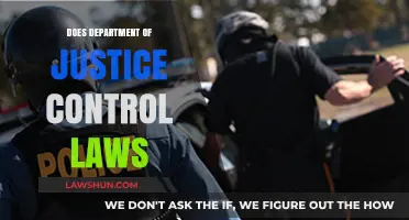 Exploring the DOJ's Role in Shaping and Enforcing Federal Laws