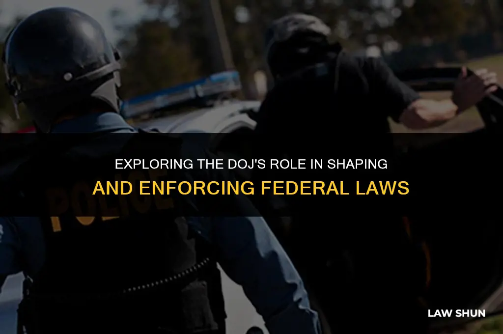does department of justice control laws