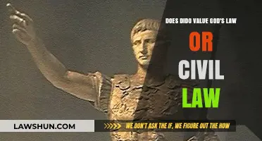 Dido's Dilemma: Prioritizing Divine Commandments or Civil Statutes?