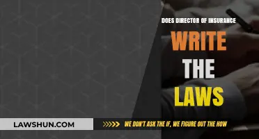 Who Writes Insurance Laws? Understanding the Director's Role and Limits