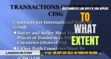 CISG vs Domestic Law: How Far Does It Reach?