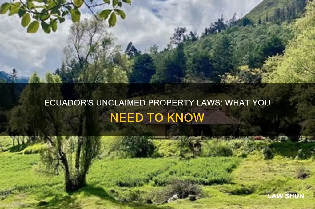 does ecuador have unclaimed property laws