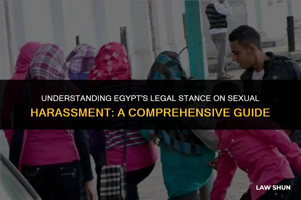 does egypt have sexual harassment laws